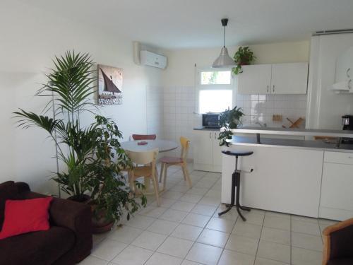 Apartamentos Colombet Stay's - Rue Pitot
