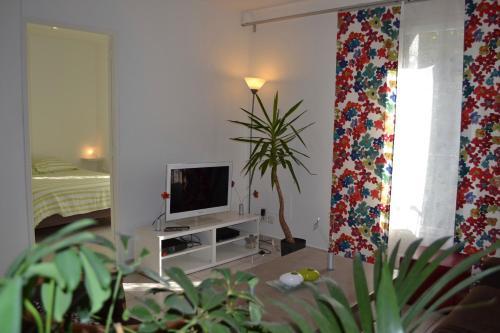Apartamentos Colombet Stay's - Rue Pitot