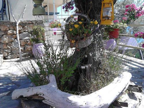 Apartamento Odyssia Near The Seaside