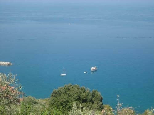 Felitsia Apartments & Studios