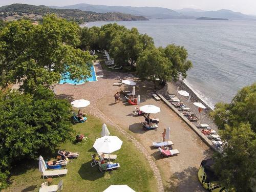 Olive Press Hotel & Apartments