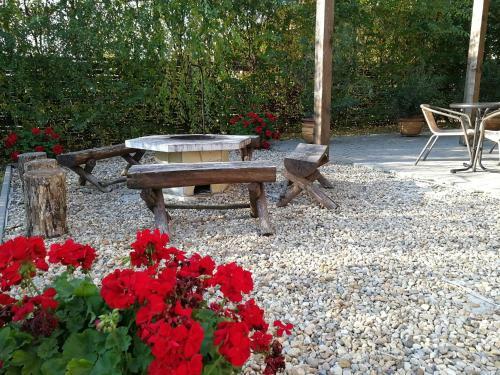 Hostal Fels?r�ti Vend�gh�z