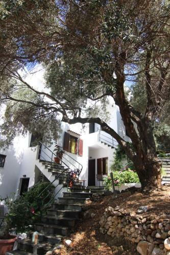 Apartamento Eleonas