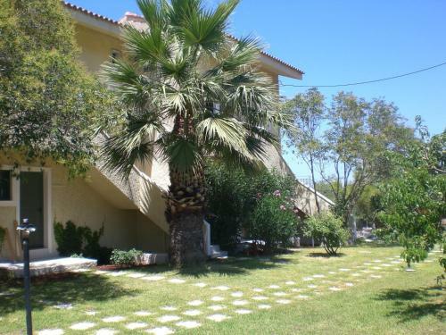 Belvista Luxury Apartments