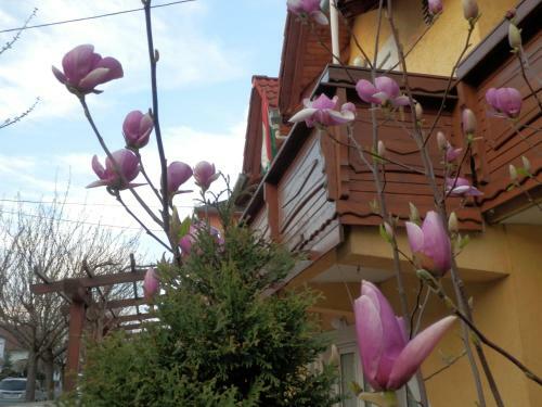 Hostal Zsuzsanna H�z