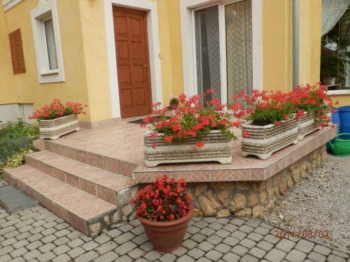 Hostal Zsuzsanna H�z