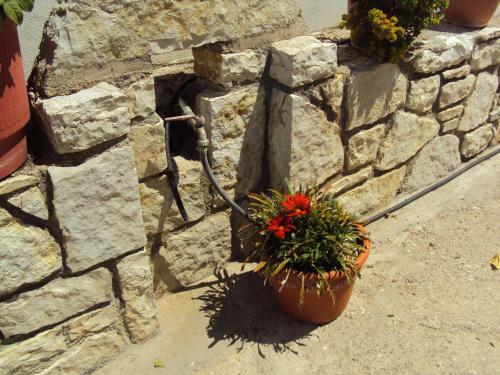 Apartamento Stamatia Rooms