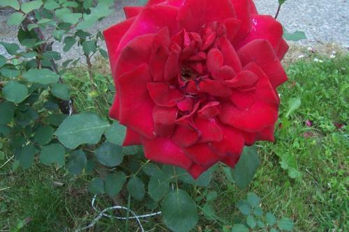 Apartamento Park Vend�gh�z