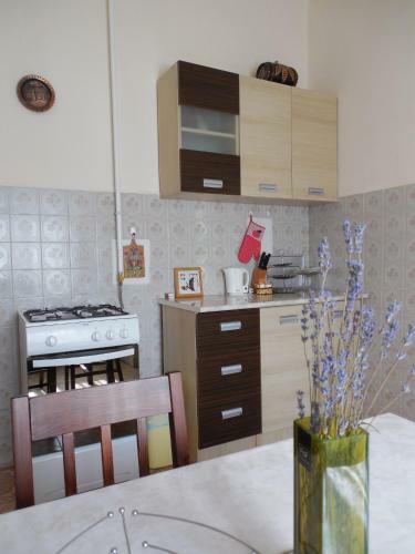 Enzo Apartman Gyula