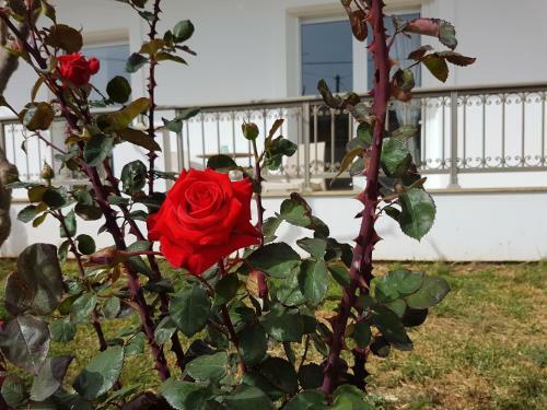 Vakakis-me Apartments