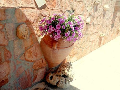 Aloe Villa Chania Crete