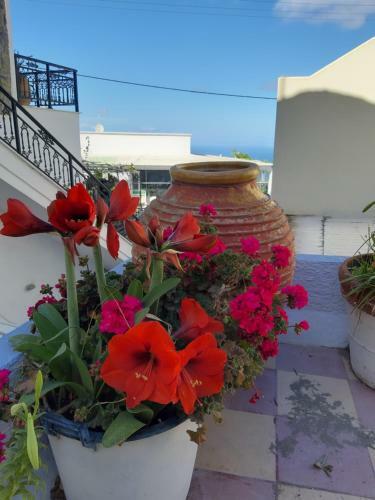 Katerina Kafieri Apartments