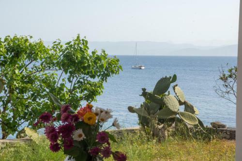 Paxos Sunrise Villas