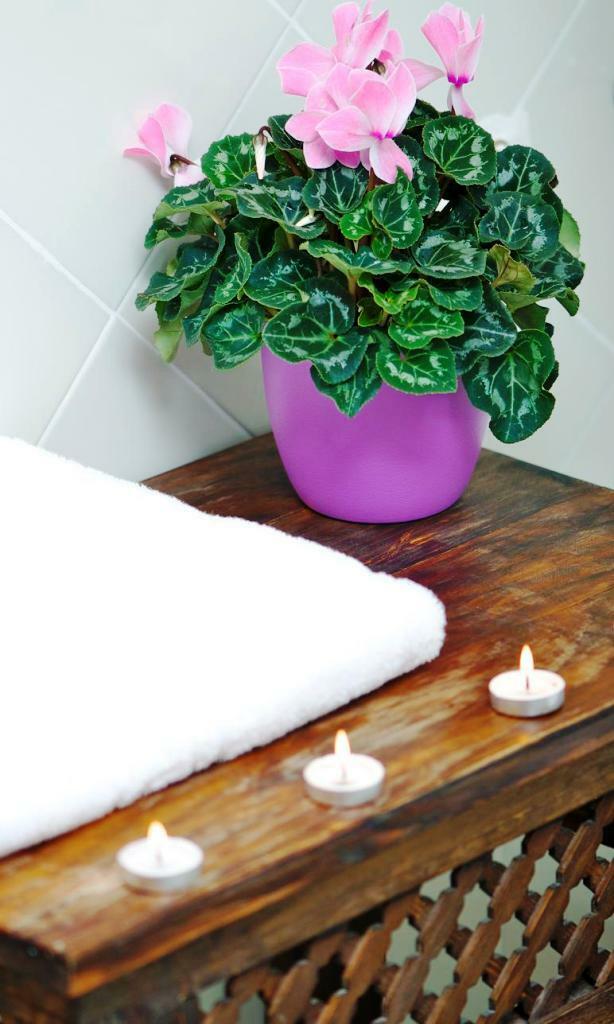Apartamentos Gumiel