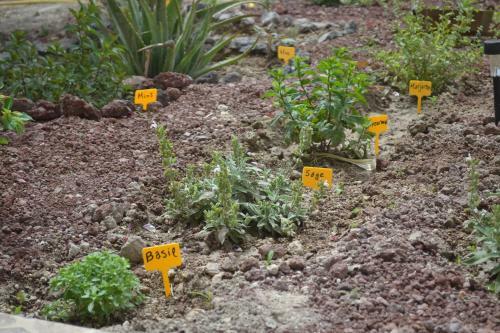 Apartamento Floralia