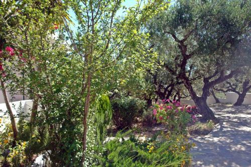 Ammoudi Harmony Villa