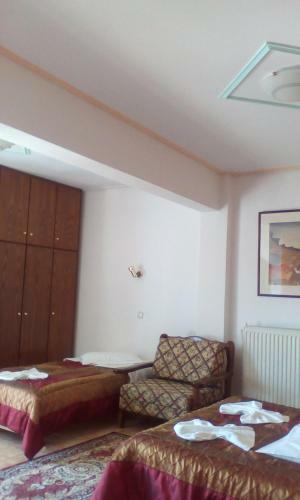 Aiolos Hotel Delphi