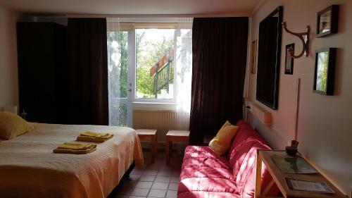Hostal Iceland's Guesthouse