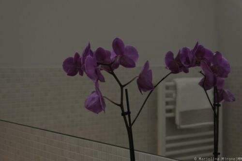 Bed & Breakfast I Balconi Sul Castello
