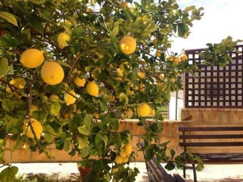 Villa Mara B&B