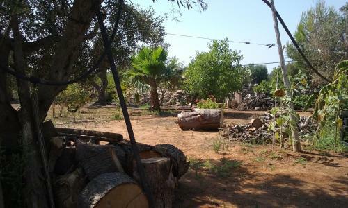 Apartamento Villetta Gloria