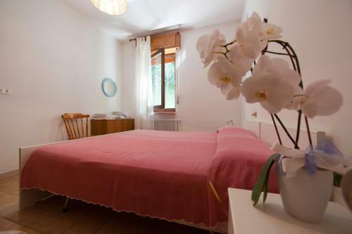 Apartamento Appartamenti Pedrini