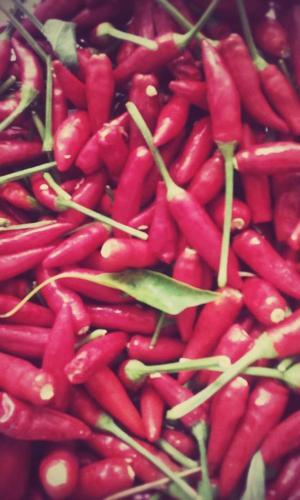 Agroturismo Cascina Il Convivio