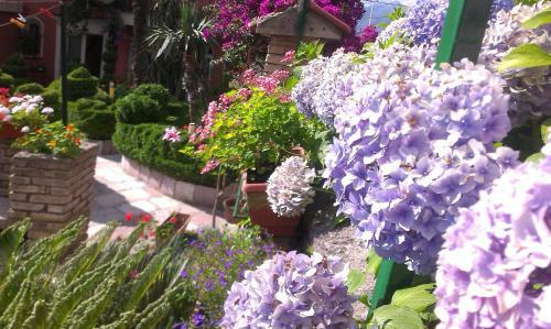 Apartment City Garden