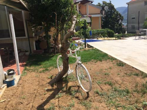 Apartment Neni
