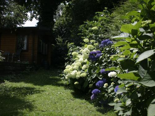 Chalet Chaletpark Kuiperberg 1