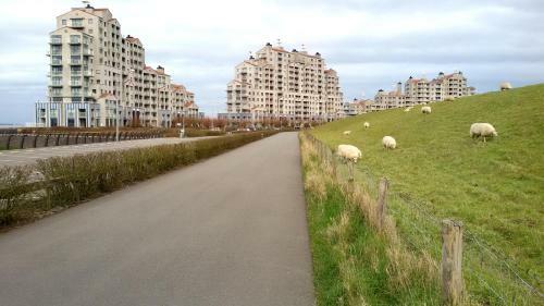 Port Scaldis Apartment