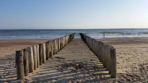 Apartamento Schelp Bed By The Sea