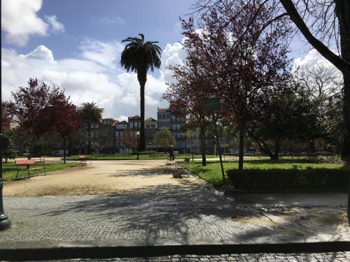 Apartment Cam�es
