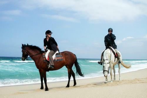 Agroturismo Monte Do Brejinho De �gua
