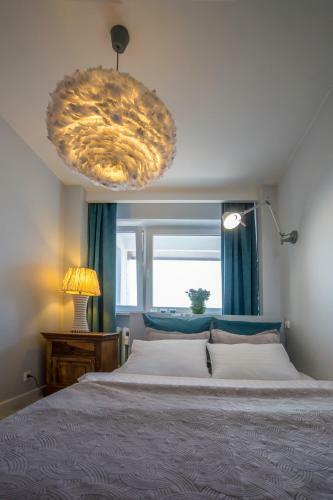 Apartament Swietokrzyska