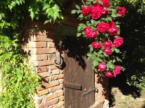 B&B Il Poggiolo Delle Rose