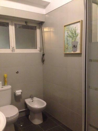 Hostal Palm Guesthouse B&B Rooms