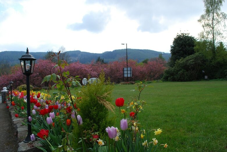 Bed & Breakfast Westlands Of Pitlochry