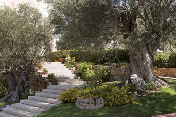 Hotel La Rocca Resort & Spa