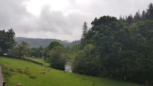 Bod Gwynedd Bed And Breakfast