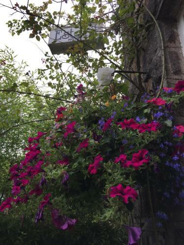 Bed & Breakfast Estoril