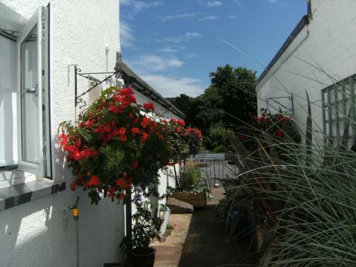 Hostal Lynstead House