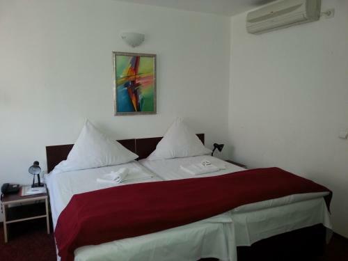Hostal Pensiunea Pura Vida