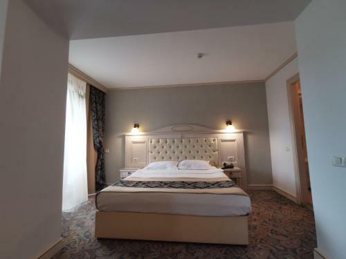 Hotel Dacia Sud