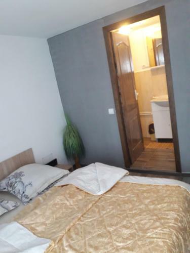 Lodge Vila Livia Borsa
