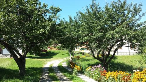 Hostal Pensiunea Laura