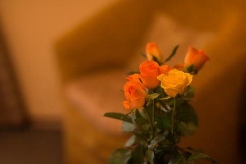 Bed & Breakfast Nevsky Inn