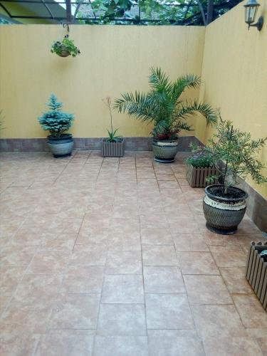 Hostal Albatros Guest House