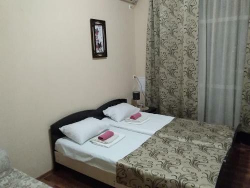 Hotel Pansionat Svetlana