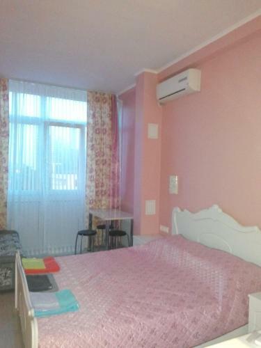 Hotel Pansionat Svetlana